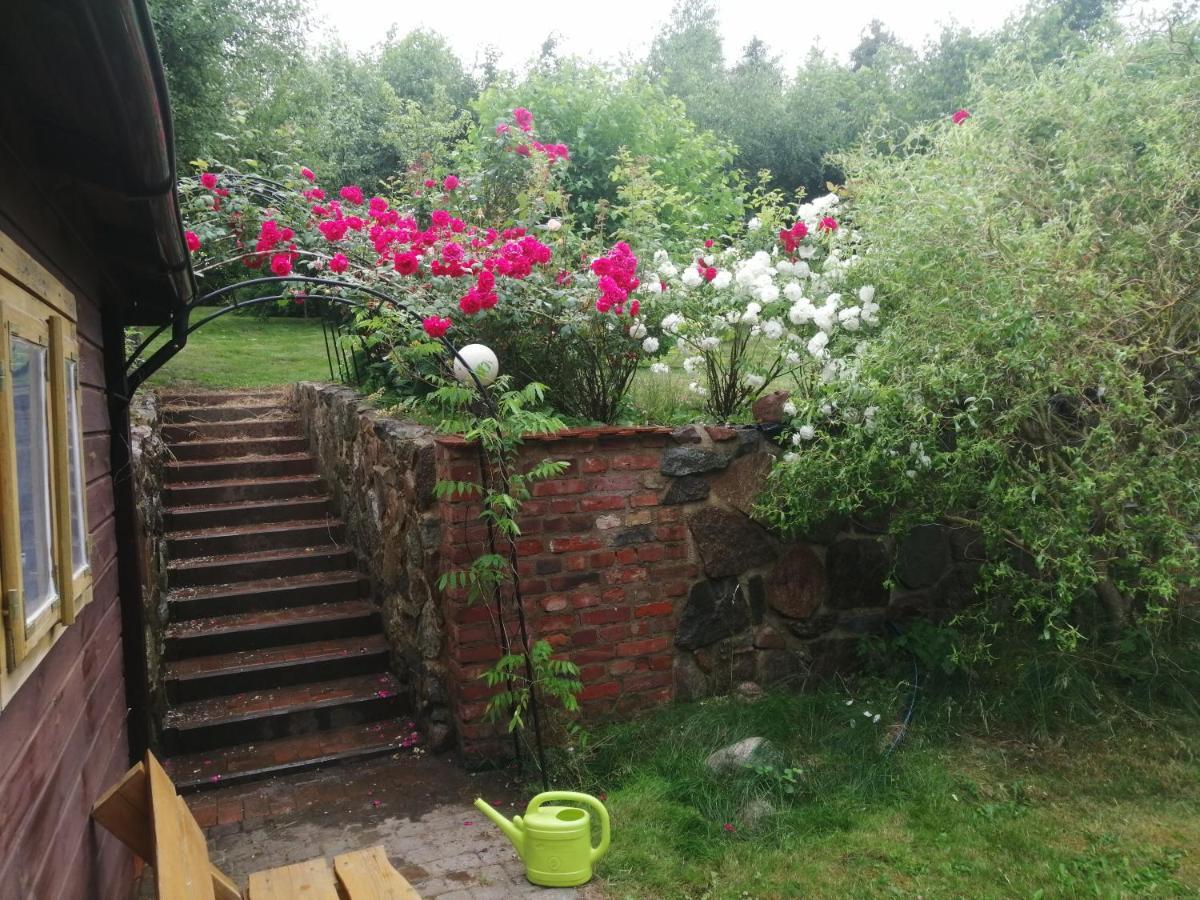 U Wojtka Homestay *